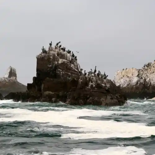 Lima – Palomino Islands Lima - Palomino Islands